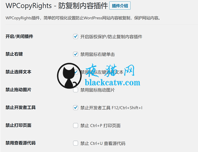 网站防复制WordPress插件 网站源码 第1张